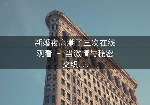 新婚夜高潮了三次在线观看 - 当激情与秘密交织,谁能全身而退?