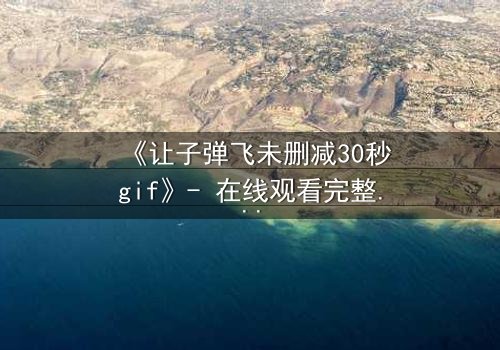 《让子弹飞未删减30秒gif》- 在线观看完整无删 - 揭秘被剪掉的权力博弈真相