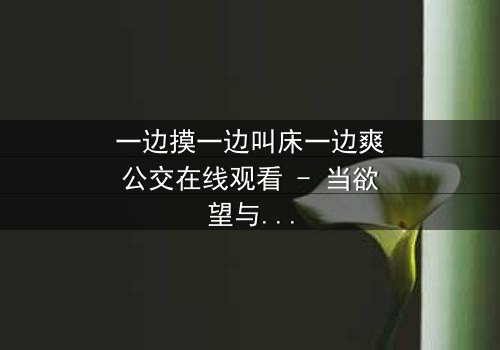 一边摸一边叫床一边爽公交在线观看 - 当欲望与道德在车厢内激烈碰撞