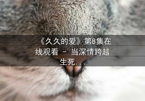 《久久的爱》第8集在线观看 - 当深情跨越生死,真相撕裂承诺