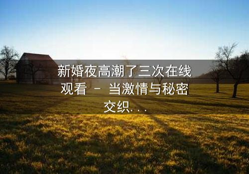 新婚夜高潮了三次在线观看 - 当激情与秘密交织,谁将揭开真相?