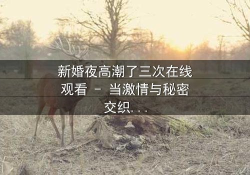 新婚夜高潮了三次在线观看 - 当激情与秘密交织,谁能守住最后的底线?