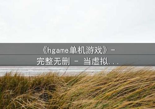 《hgame单机游戏》- 完整无删 - 当虚拟欲望吞噬现实灵魂