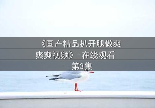 《国产精品扒开腿做爽爽爽视频》-在线观看 - 第3集