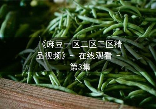 《麻豆一区二区三区精品视频》- 在线观看 - 第3集