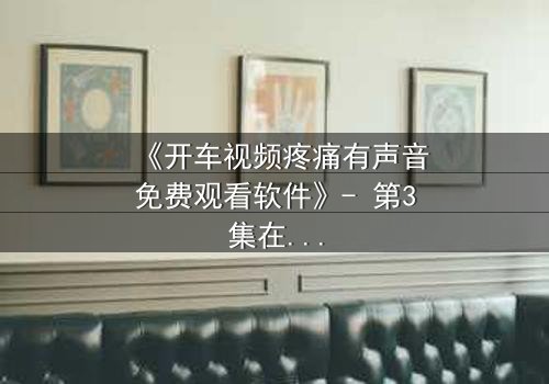 《开车视频疼痛有声音免费观看软件》- 第3集在线观看 - 当引擎轰鸣掩盖不了内心的撕裂