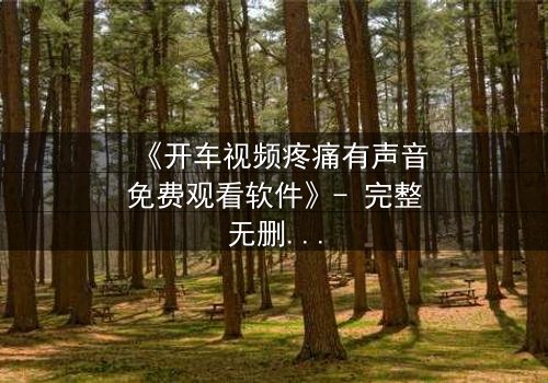 《开车视频疼痛有声音免费观看软件》- 完整无删在线观看 - 当方向盘成为救赎的唯一钥匙