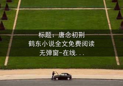 标题:唐念初荆鹤东小说全文免费阅读无弹窗-在线观看完整版 - 揭秘豪门恩怨的终极对决