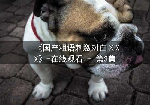 《国产粗语刺激对白ⅩXX》-在线观看 - 第3集