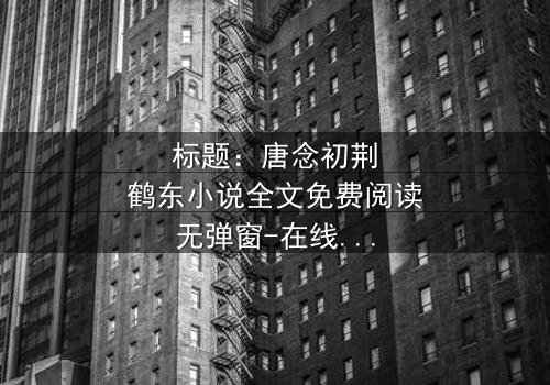 标题:唐念初荆鹤东小说全文免费阅读无弹窗-在线观看完整版 - 一场爱恨交织的复仇风暴