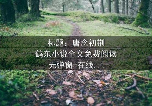 标题:唐念初荆鹤东小说全文免费阅读无弹窗-在线观看完整无删 - 一场爱恨交织的致命游戏