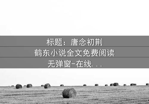 标题:唐念初荆鹤东小说全文免费阅读无弹窗-在线观看完整版 - 一场爱恨交织的终极对决