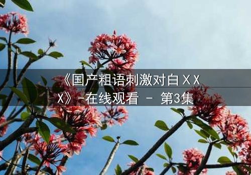 《国产粗语刺激对白ⅩXX》-在线观看 - 第3集