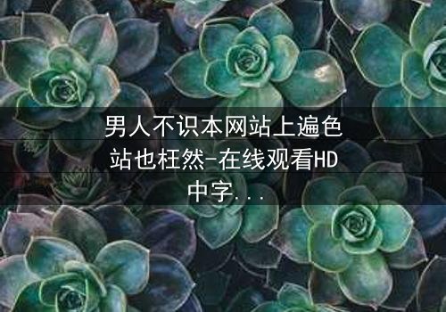 男人不识本网站上遍色站也枉然-在线观看HD中字 - 揭开都市欲望的终极谜题