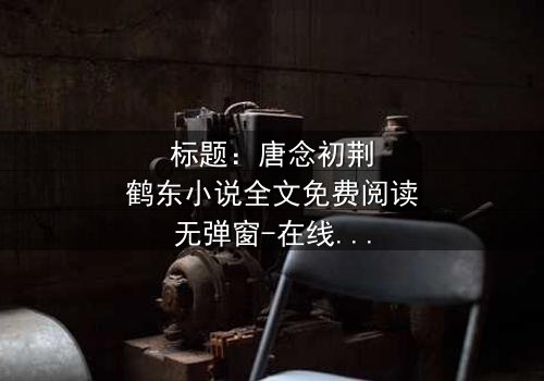 标题:唐念初荆鹤东小说全文免费阅读无弹窗-在线观看完整无删,揭秘豪门恩怨的终极对决