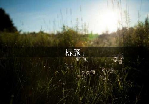 标题: