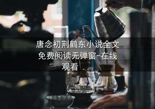 唐念初荆鹤东小说全文免费阅读无弹窗-在线观看 - 一场豪门恩怨的致命诱惑