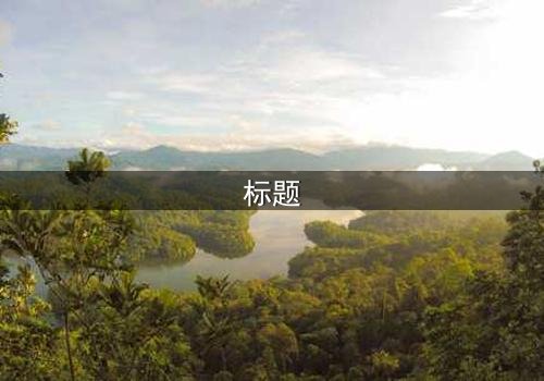 标题