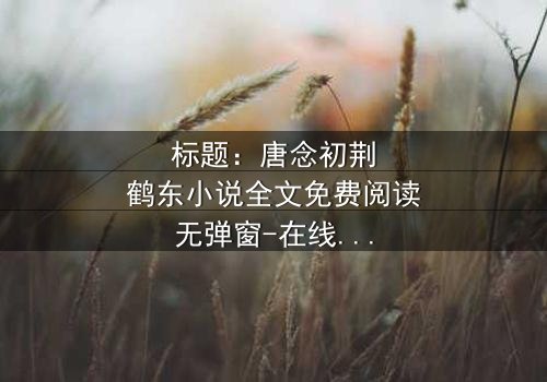 标题:唐念初荆鹤东小说全文免费阅读无弹窗-在线观看完整无删 - 揭秘他们不为人知的秘密交易