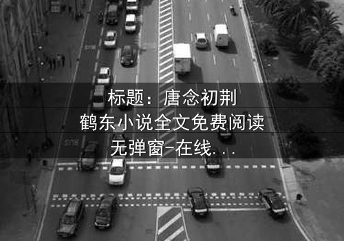 标题:唐念初荆鹤东小说全文免费阅读无弹窗-在线观看完整无删 - 揭秘隐藏的真相与情感纠葛