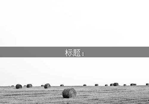 标题: