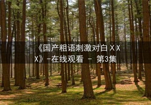《国产粗语刺激对白ⅩXX》-在线观看 - 第3集