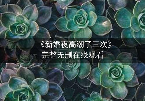 《新婚夜高潮了三次》- 完整无删在线观看 - 激情与秘密交织的夜晚